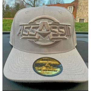 Cap Assassin Grise 3D